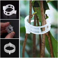 Green Plant Hold Clips