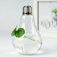 Decor Hanging Bulb Shape Glass Vase
