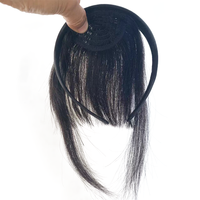 Stunning Clip-in Pony with Headband