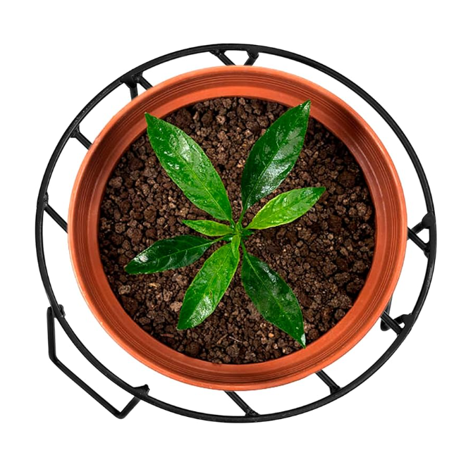 Elegant Iron Flower Pot Stand