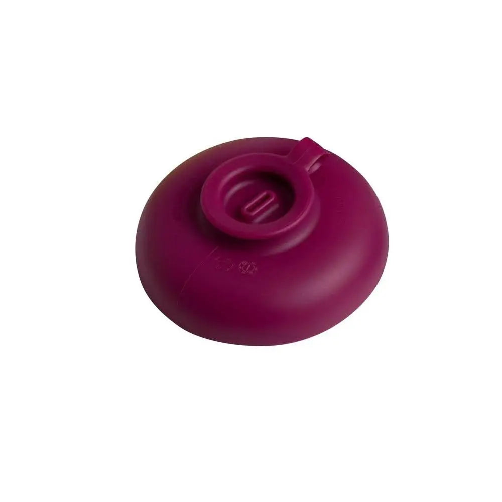 Reusable Ice Cream Holder ๐ฆ (Pack of 2)