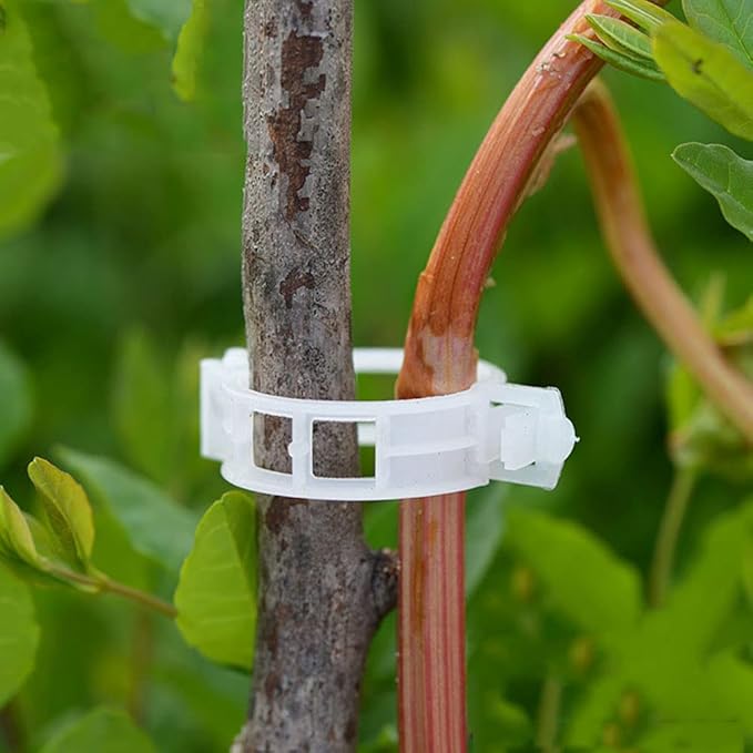 Plant Support Clips