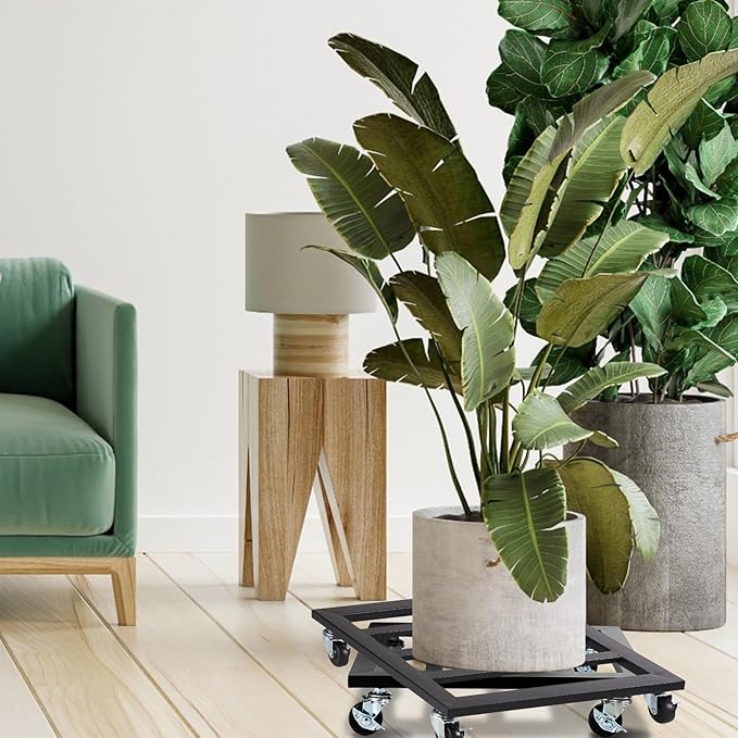 Caddy with Heavy Duty Wheel Plant Stand