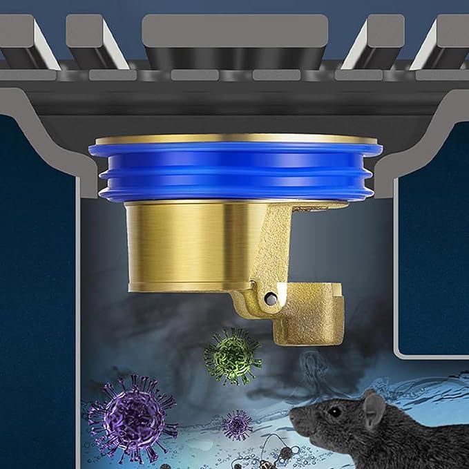 Floor Drain Backflow Water