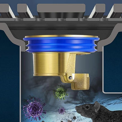 Floor Drain Backflow Water