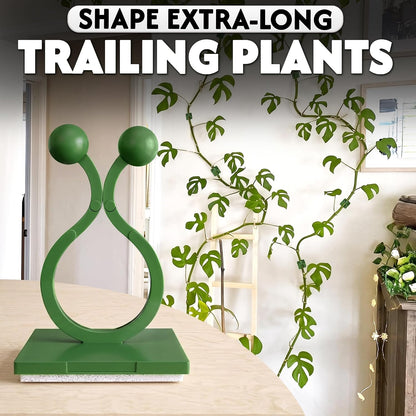 Self-Adhesive Climbing Plant Wall Clips