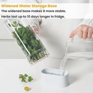 Herb Keeper for Refrigerator