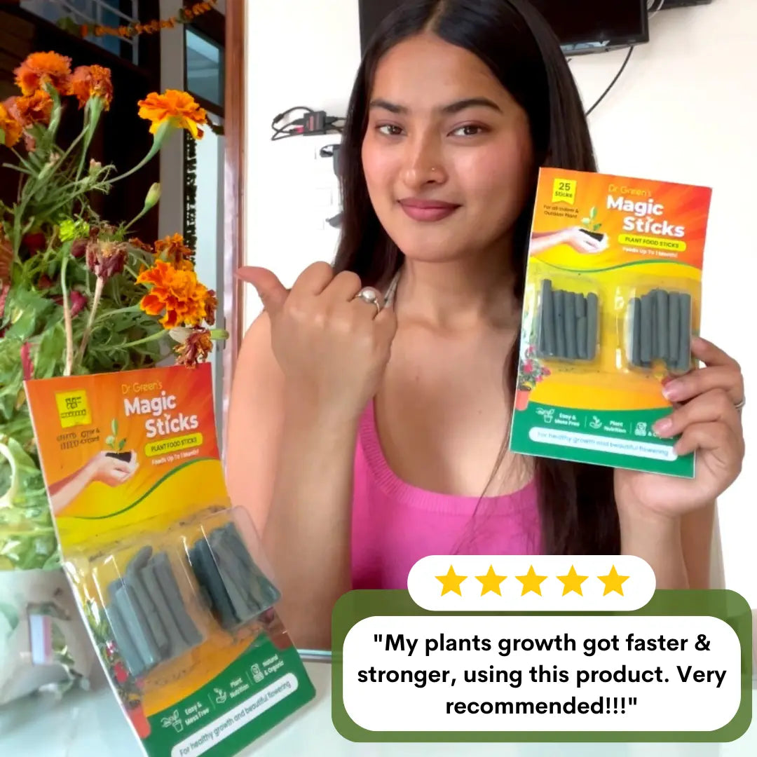 Magic Plant Grow Fertilizer Sticks
