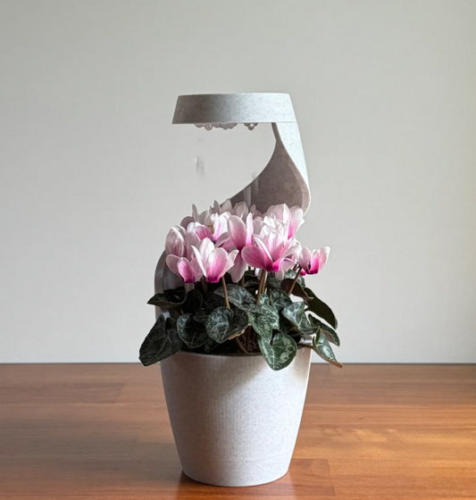 Desk Vase Or Pot Planter