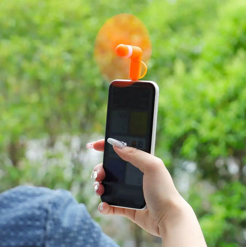 2-in-1 Mini USB Fan