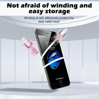 Cable Protector for Phone Charger