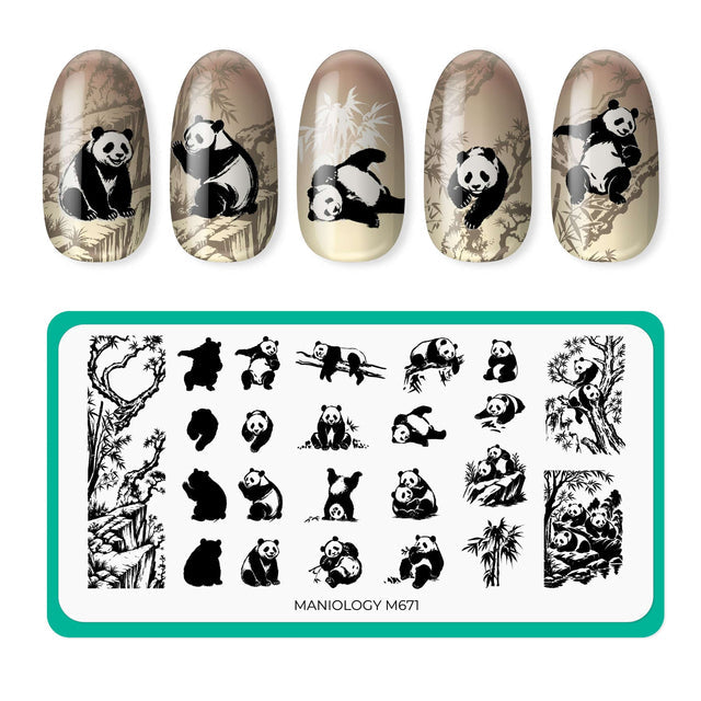 Reuseable Magic Nail Art Stamper