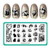 Reuseable Magic Nail Art Stamper